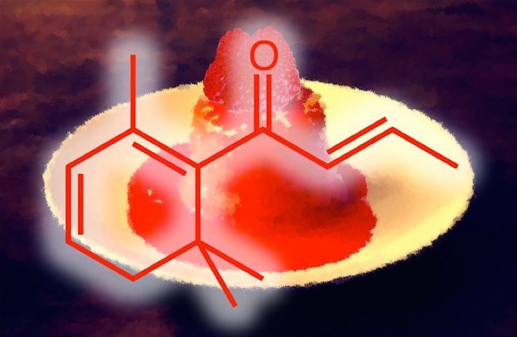 eedcAndy's tweet photo. Chill out on #RaspberryBombeDay! Bombes usually inc a dash of rum - traditionally produced in the Caribbean, rum is a spirit made by fermenting cooked sugar cane juice & molasses. A key volatile is beta-damascenone (floral-fruity) also in roses/used in perfumery #bethereinspirit https://t.co/OszlZgTcNi