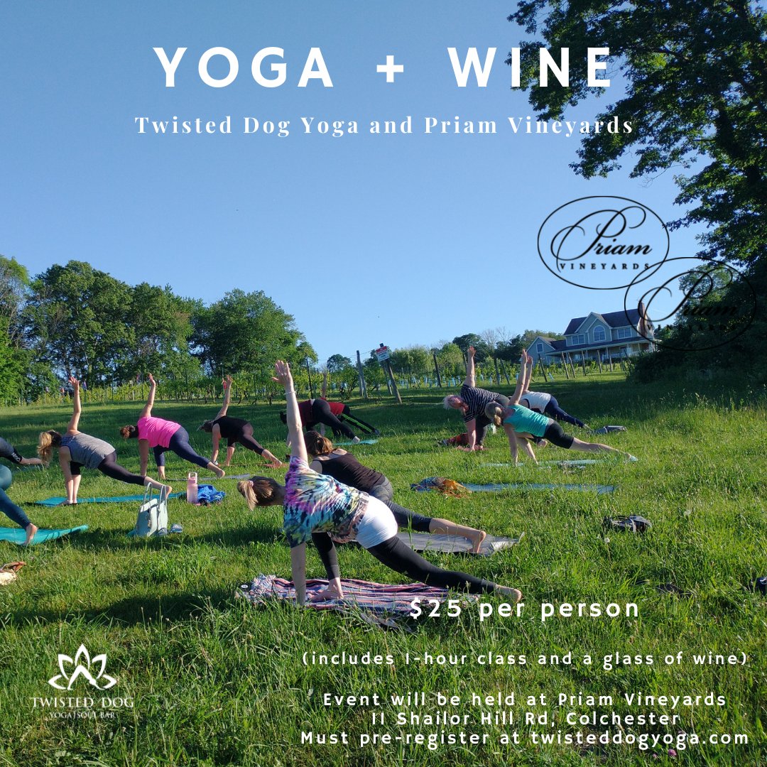 twisteddogyoga's tweet photo. TDY Special Events ~ Outdoor Yoga at Maria's, SUP Yoga, Yoga + Wine at Priam Vineyards - https://t.co/a5vqCfkFA2 https://t.co/hquVeN11KO