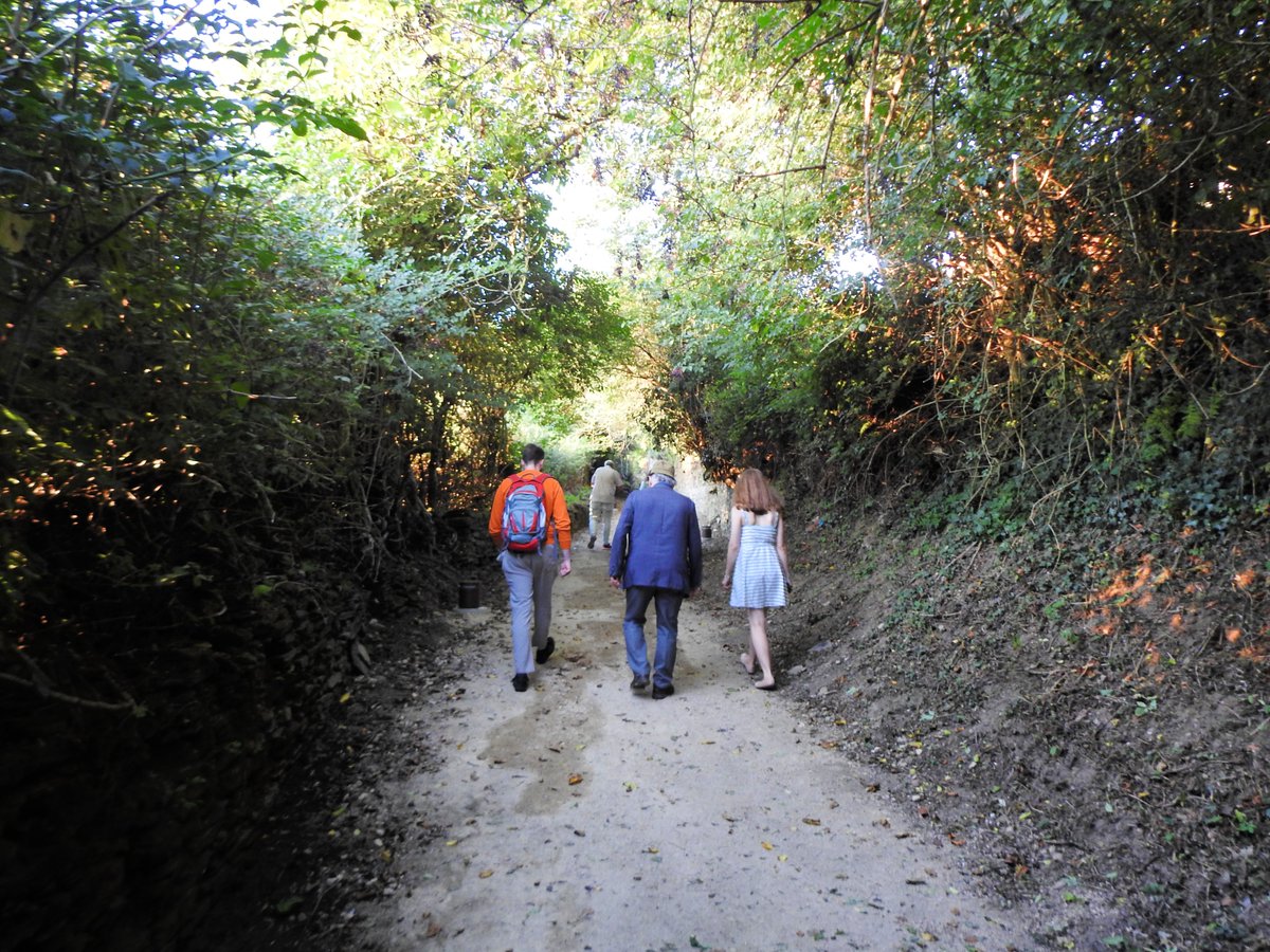 Hoxe algúns dos mellores amigos destes anos de paseos fomos estrear, cunha pequena andaina, a nova iluminación do barrio do Carme. Atopámonos con moitísima xente paseando e gozando dun espazo marabilloso que toda a vida estivo esquecido para a cidade. Longa vida #BarrioDoCarme 💚