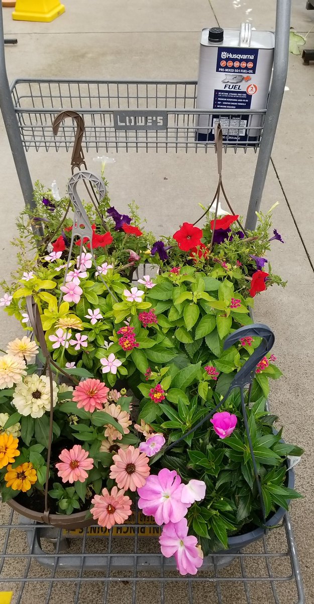 Surfrgrl5682's tweet photo. When you go to @Lowes for fuel and end up getting a bunch of flowers because they are on clearance for $1 #BoomConfetti https://t.co/ZvGOTz0GjA