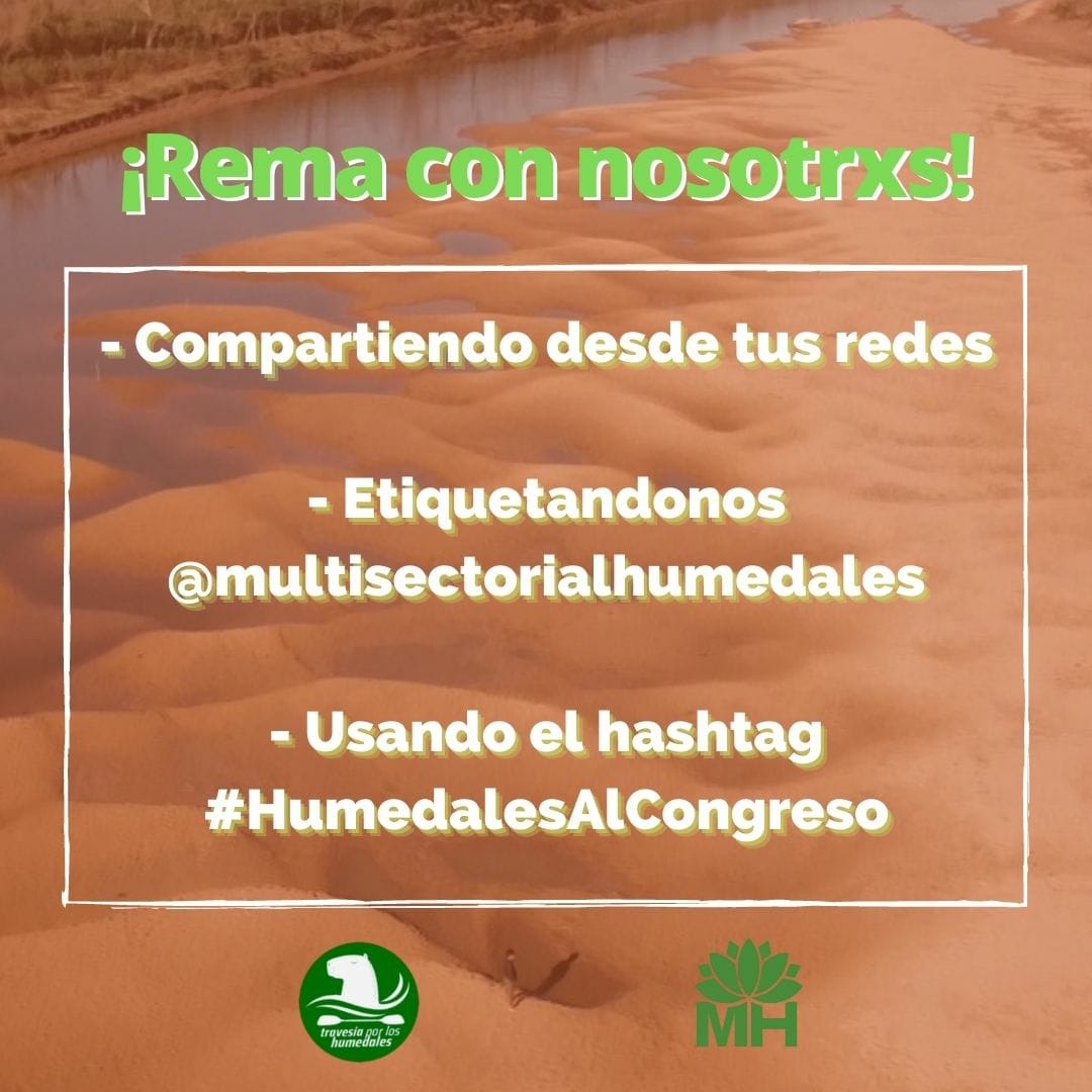 DANIELHORATIO4's tweet photo. #HumedalesAlCongreso https://t.co/tba9fNGvUM