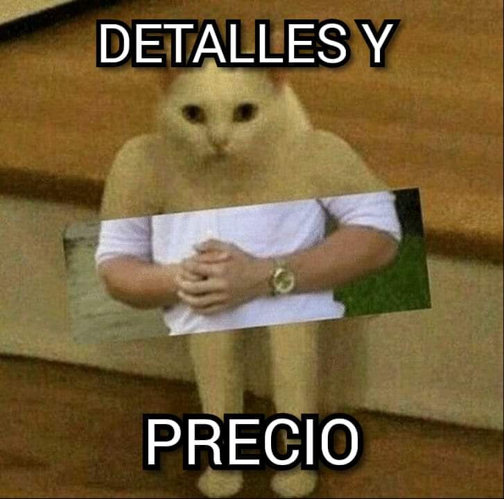 thesnoozze's tweet image. Yo sin tener 0.1$ en el bolsillo preguntando sobre el iPhone 12 Pro Max