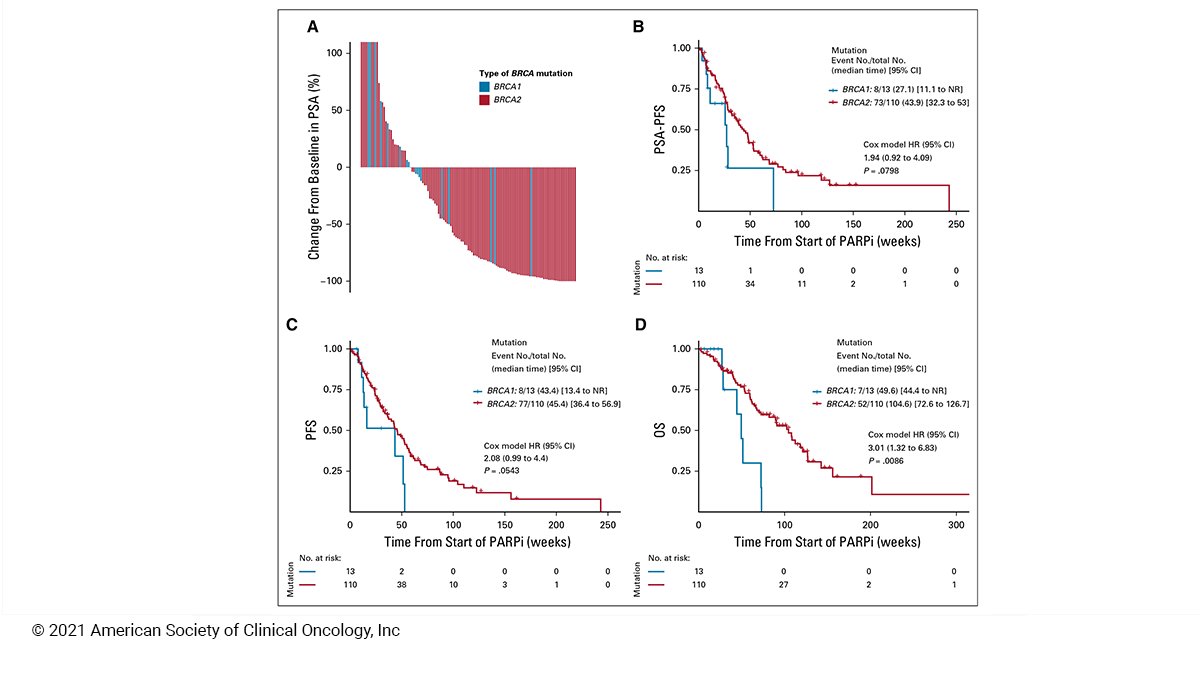 Journal of Clinical Oncology (@jco_asco) on Twitter photo .<a href="/EAntonarakis/">Emmanuel Antonarakis</a> & <a href="/faditaza/">Fadi Taza, MD</a> et al. demonstrate from 123 pts w/ mCRPC having BRC1/2 alterations that PARP inhib activity is decreased in BRCA1 vs. BRCA2 and could likely be influenced by more monoallelic mut or concurrent TP53 mut in BRCA1 group fal.cn/3ho85 #JCOPO #pcsm .<a href="/EAntonarakis/">Emmanuel Antonarakis</a> & <a href="/faditaza/">Fadi Taza, MD</a> et al. demonstrate from 123 pts w/ mCRPC having BRC1/2 alterations that PARP inhib activity is decreased in BRCA1 vs. BRCA2 and could likely be influenced by more monoallelic mut or concurrent TP53 mut in BRCA1 group fal.cn/3ho85 #JCOPO #pcsm