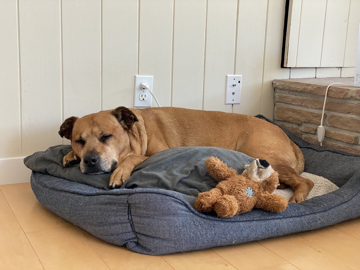 You can only roll with the punches for so long, I am feeling a bit like this floor hippo at midweek. Need a nap to restart.