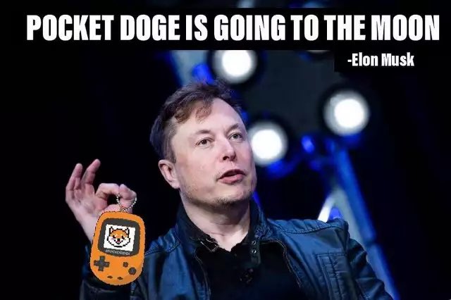 PocketdogeP's tweet photo. @ProTheDoge # POCKETDOGE Let’s gooooooo!!! Tomorrow is launch day, and you DO NOT want to miss out on this innovative project, with the best team on the BSC leading the way   https://t.co/p2NHQKEfo8 https://t.co/Fgups9uai9