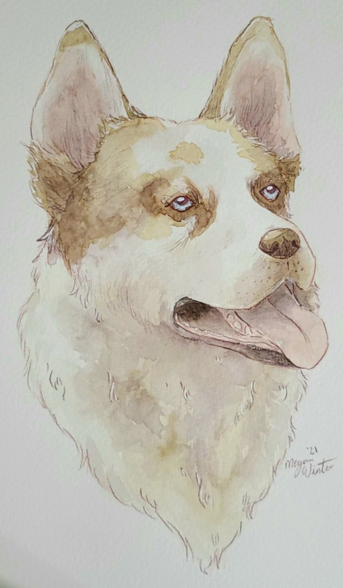 Duckkhardt's tweet photo. I currently have 5 pet portrait commissions slots available if anyone is interested! Pieces are 9x12 watercolor paintings but other sizes are available.

Please DM if interested and feel free to RT 😊 https://t.co/IqlIaIF86s