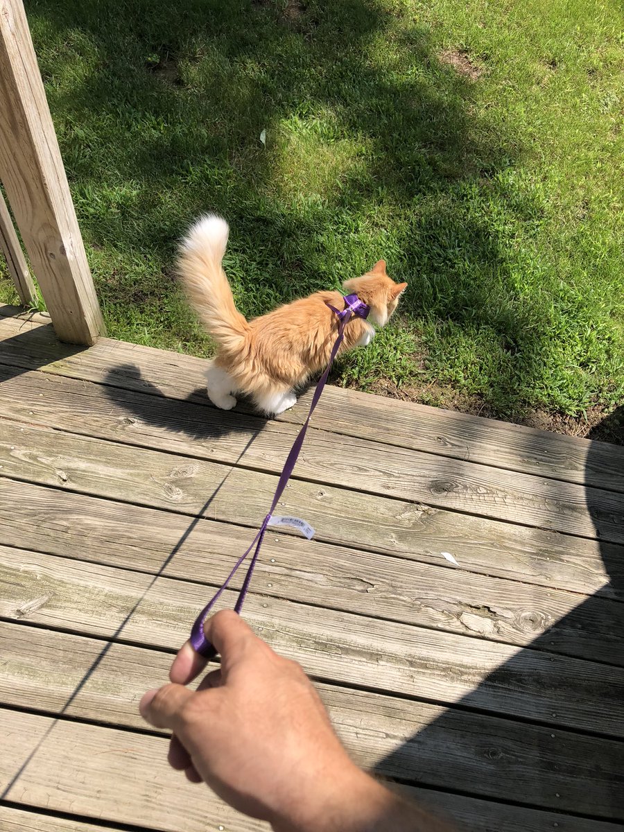 How is this my life?