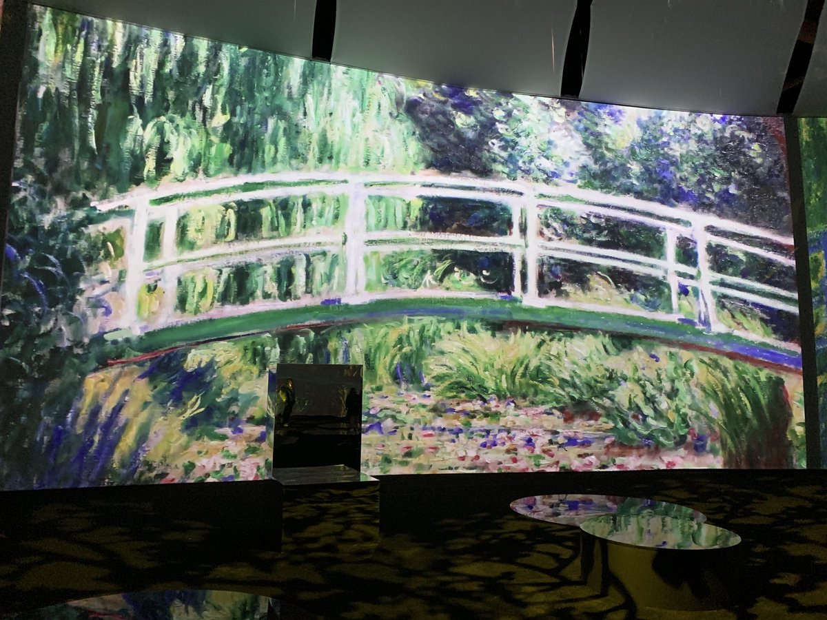 JaneCStevenson's tweet photo. A somewhat taxing personal day was alleviated by the media preview of #beyondmonet at the #Torontoconventioncentre which opens to the public on aug 12. Beautiful and soothing. Story coming in ⁦@TheTorontoSun.⁩ #monettoronto https://t.co/WygIouCj1W