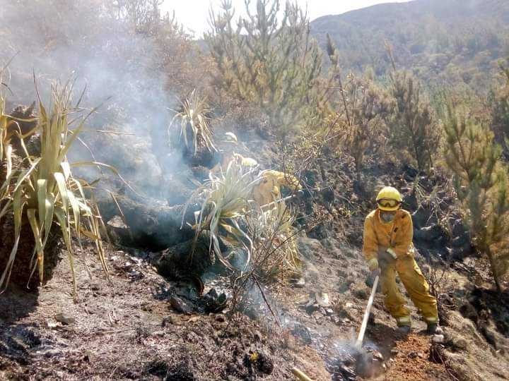 Ojo_Publico's tweet photo. #Urgente Luego de 7 días fue extinguido el incendio forestal que destruyó 2.200 hectáreas de cobertura natural en Lucre y Andahuaylillas, en #Cusco, informó hoy el @SERNANP. En las labores participaron más de 500 personas y dos helicópteros de la @fapperu.

📸: Sernanp https://t.co/SKVKsqqsrv