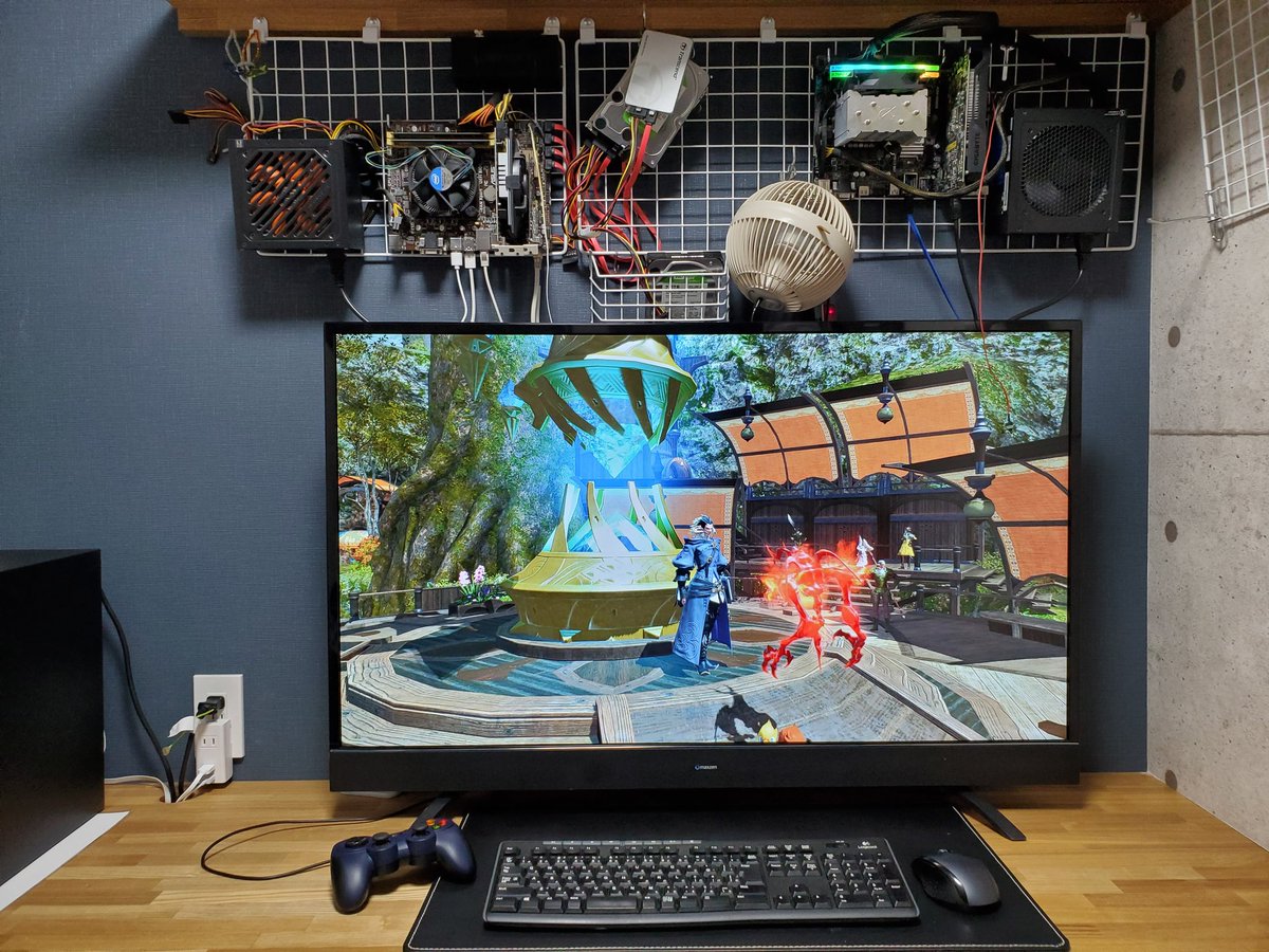 ハッサク Citrus Hasssaku Twitter