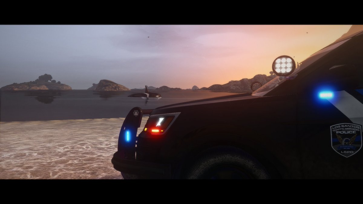 Killer Whale seen on the shores of San Andreas!

#NorthernRP #YourTrueEscape #FiveM #gtarp #gtaroleplay #fivemrp #gtasanandreas #blainecounty