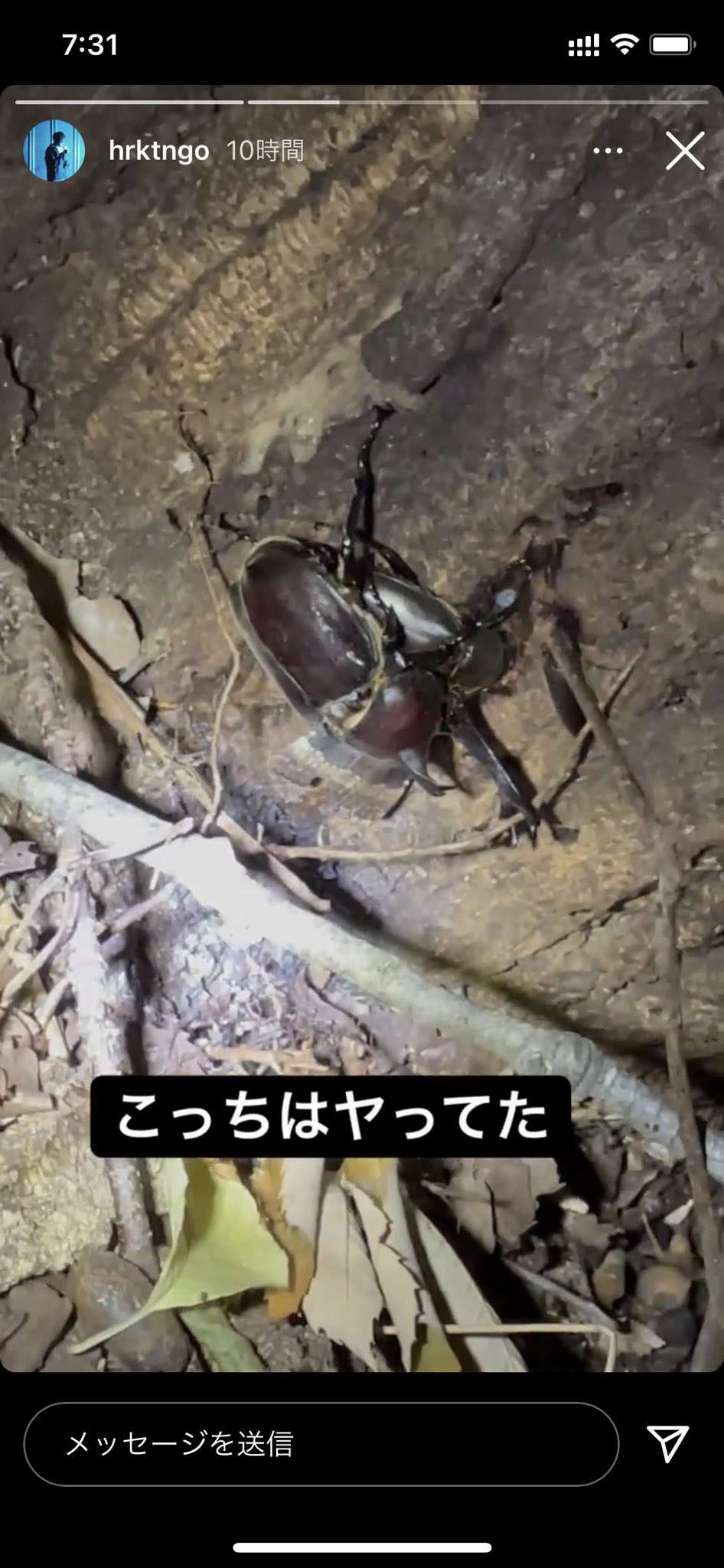 Teru Pa Twitter Rt Notinkintamushi Teruのインスタが他のどのラッパーのよりも良い T Co Mhd7bw8h7e Twitter