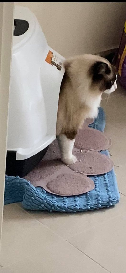 time to buy a new litterbox i guess
