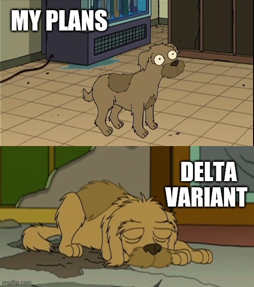 LessMex's tweet image. #myfallplans