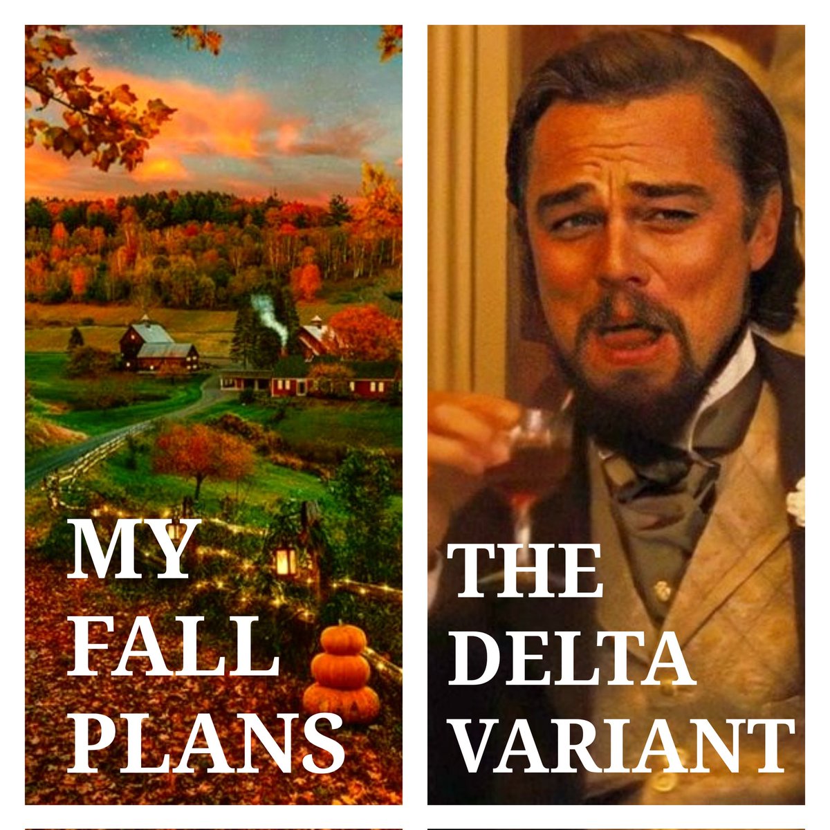 ShawnFitzgibbon's tweet image. #FallPlans