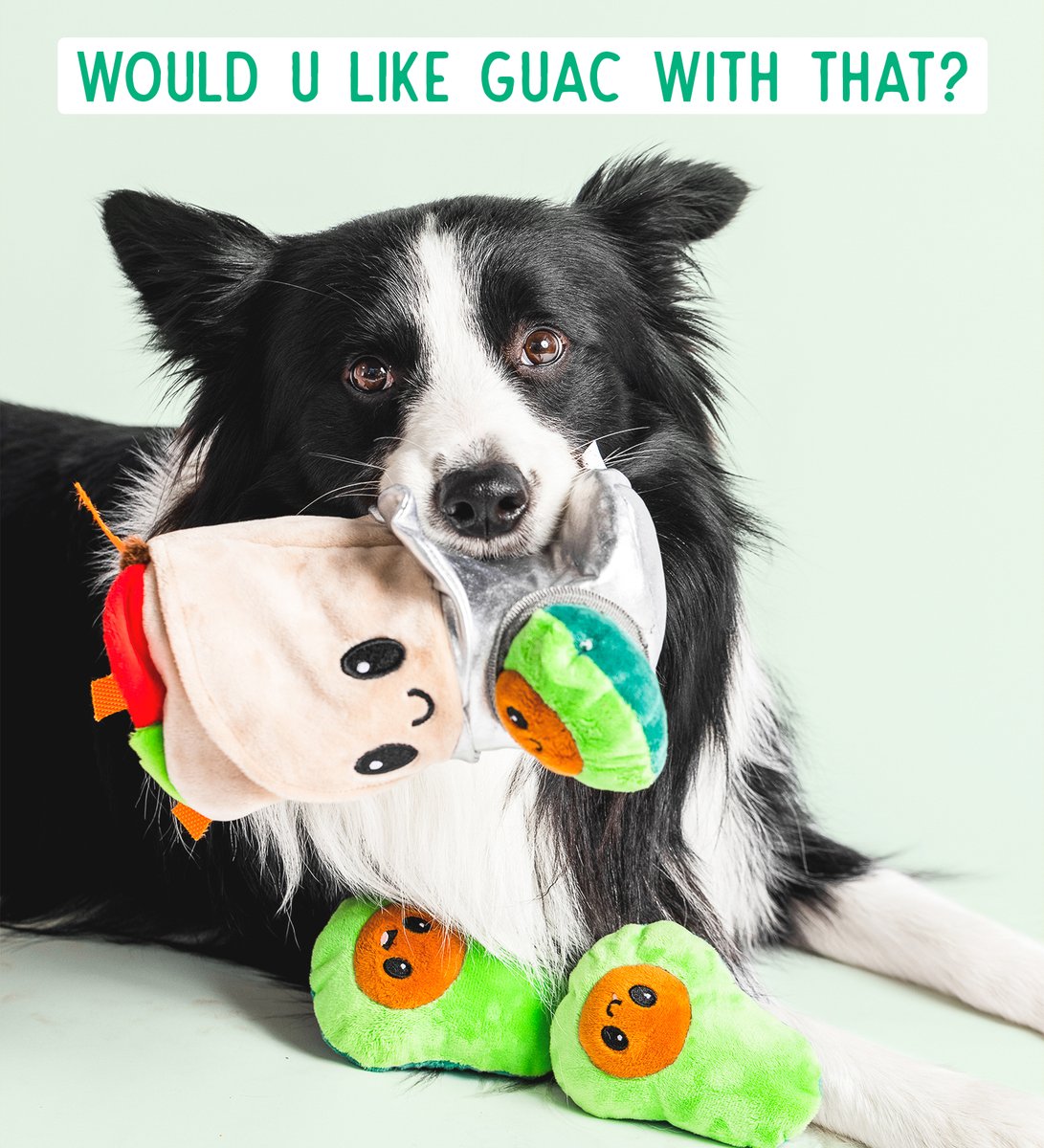Pet Craft Supply Co. tweet media