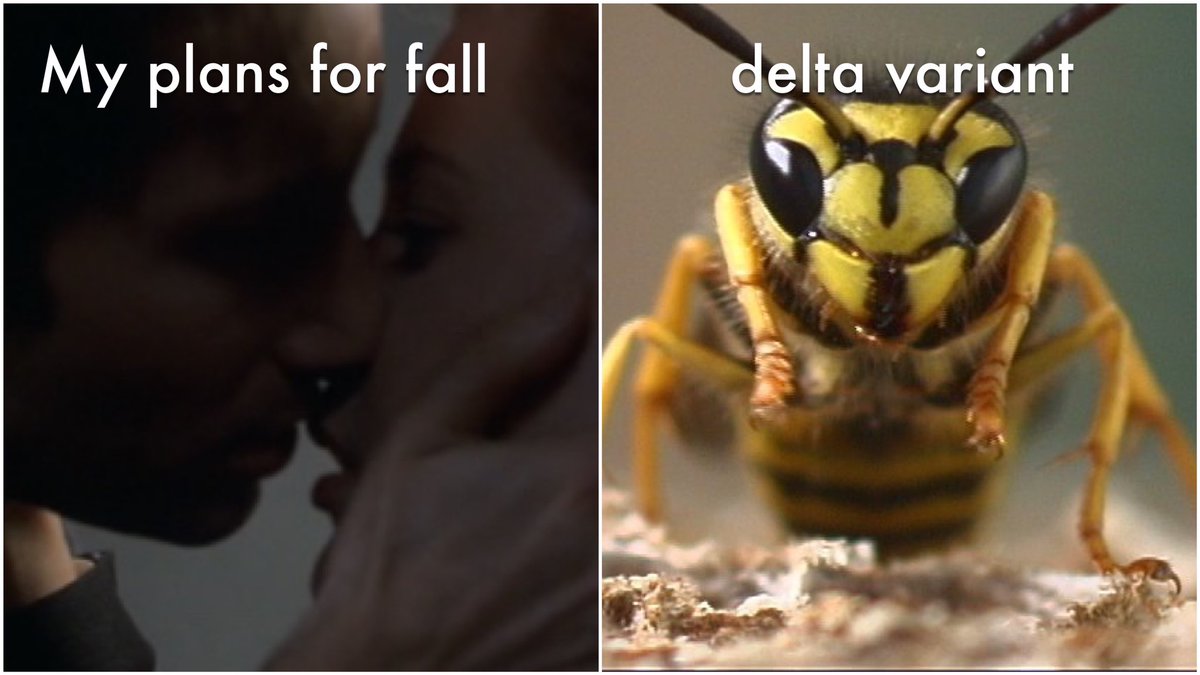 That damn bee strikes again....