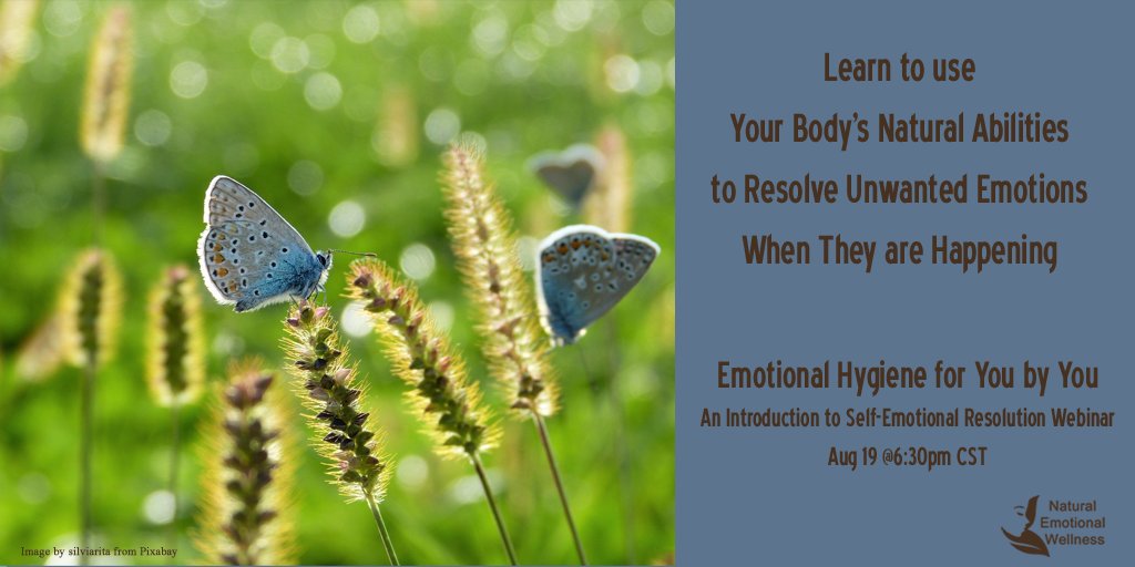 SueSiebens's tweet image. Take advantage of skills you already have, Introduction to Self-Emotional Resolution, Aug 19 at 6:30pm CST eventbrite.com/e/133259537865
#EmotionalResolution #EmRes #selfimprovement #Emotions #Fearless #PeaceOfMind #stressrelief  #mentalhealthawareness
