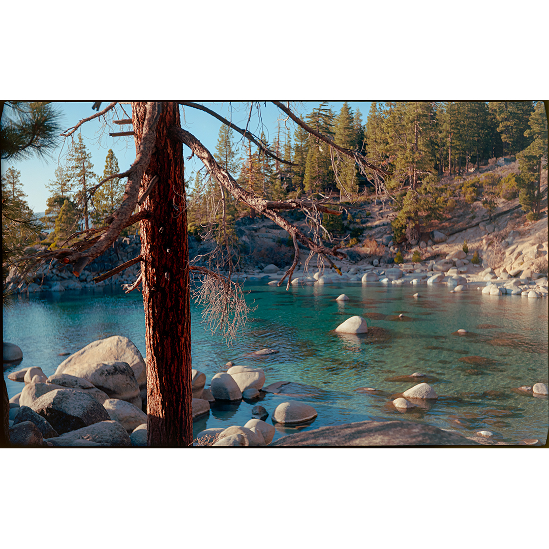 KodakProFilmBiz's tweet image. Mat Rick @MatRickPhoto 
🎞️ #kodakprofessional
#summerwinter

(1&amp;amp;3): 🎞️#ektar100
1: 📸Mamiya RZ67 3: 📸Voigtlander Bessa II
2: 🎞️#portra400 📸Bronica RF645
4: 🎞️#ektachrome100 📸Bronica RF645

#filmphotography #filmcommunity #naturefilmphotography #landscapefilmphotography