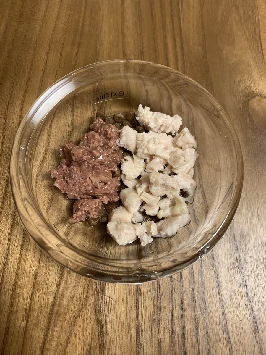 保護猫ビームの観察記 على تويتر 手作り猫ごはん66日目 朝 カリカリ10g ウェットフードg 鶏胸肉 25g 天気が悪くても食べます 最近ごはんの催促が激しい 猫 子猫 保護猫 にゃんすたぐらむ 猫のいる暮らし 猫好きさんと繋がりたい 手作り猫ごはん エサ