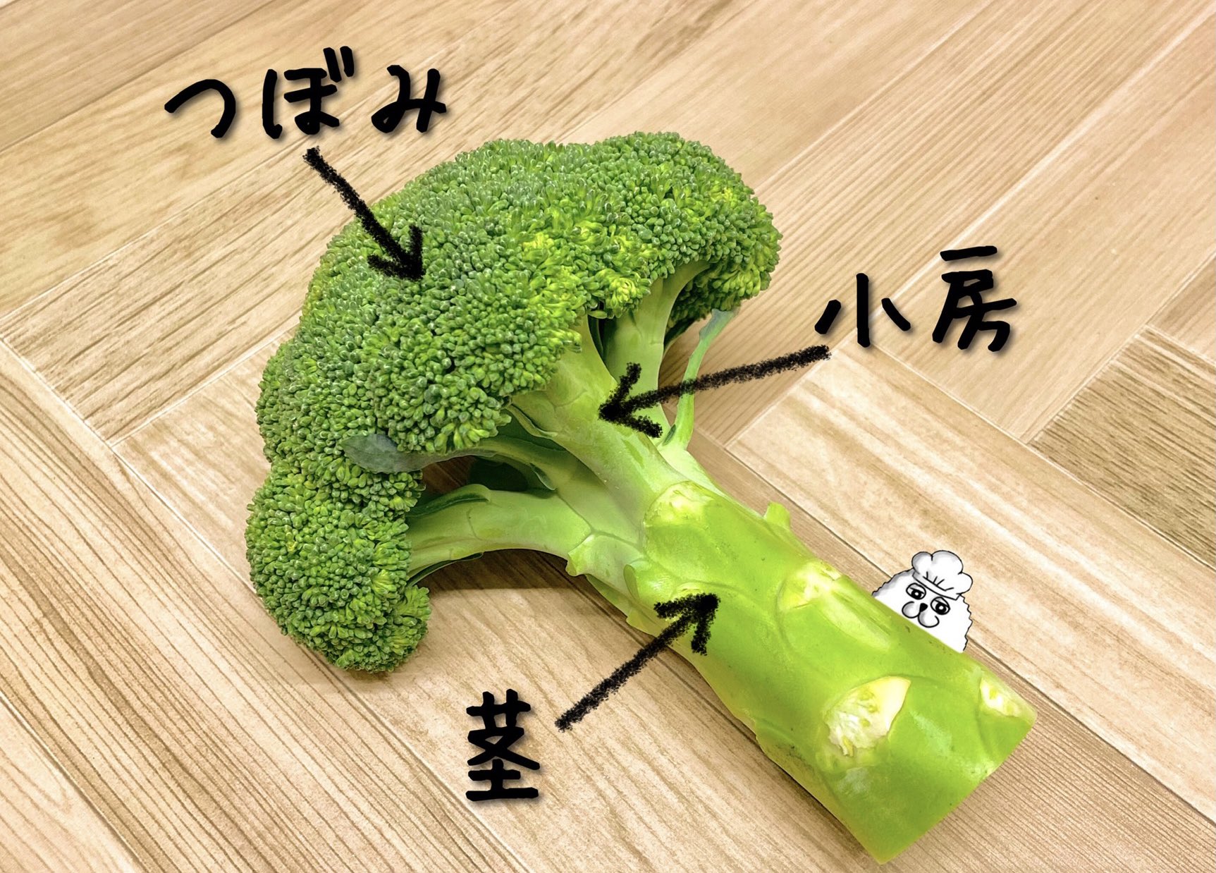 تويتر 麦ライス シェフ 料理家 على تويتر 散らかりやすいブロッコリーですが 小房に切り込みを入れてから引っ張るように裂くと綺麗にカットが出来るのを知ってました 麦ライス T Co G3v3ryrutt