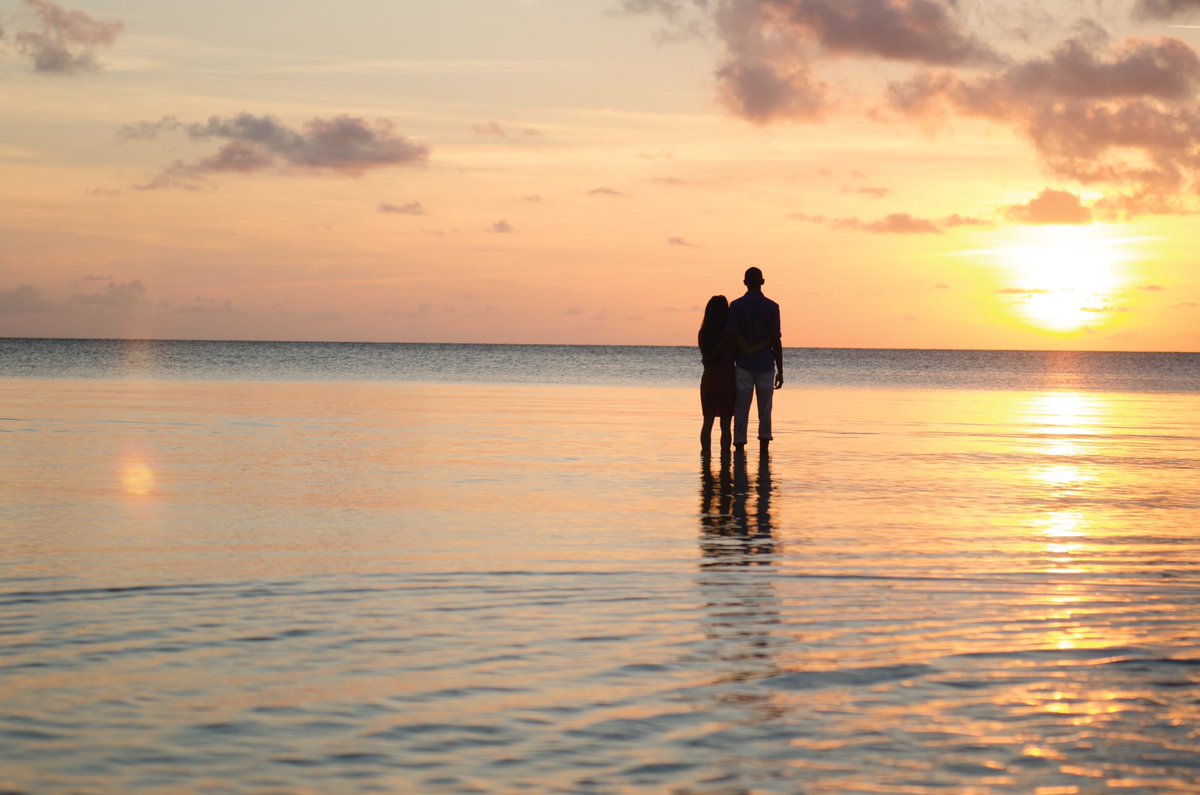 BahamasTouristOffice- Florida tweet media