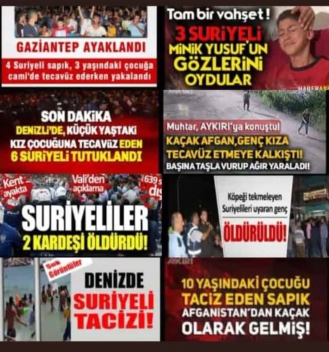 Serhat77837613's tweet photo. @kadij_84 @OkochasKrampon @YourAnonNews Well every action has a reaction what about those??? 6 syrians harrased a young girl in Denizli, an afghan tried to harass a young girl, syrians killed 2 brother, a young man warning to syrians while they are kicking a dog syrians killed that young man https://t.co/1zTHcAPS4Y