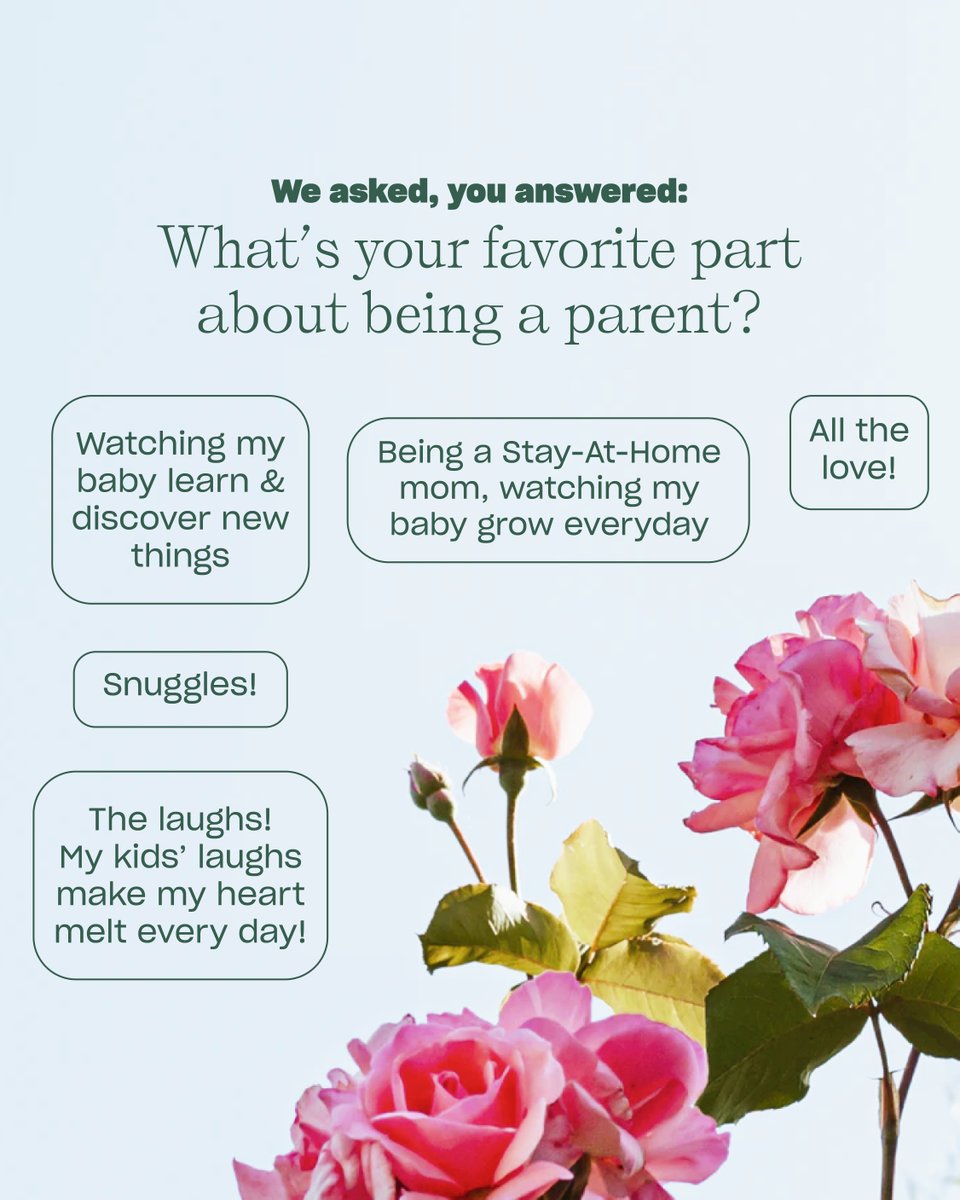 Nara Baby Tracker tweet media