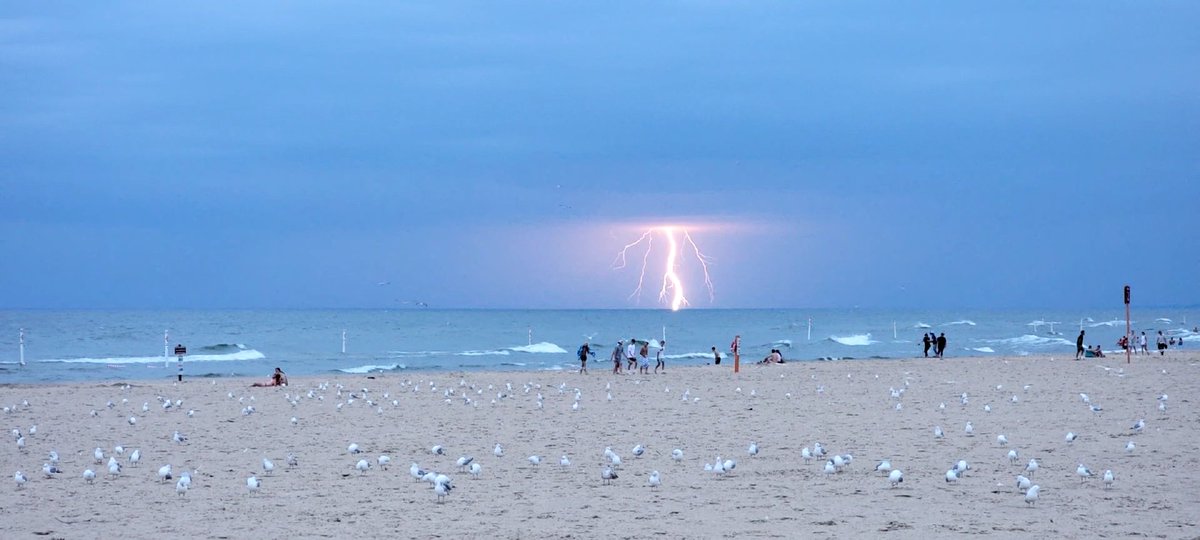 Peter Weise tweet media