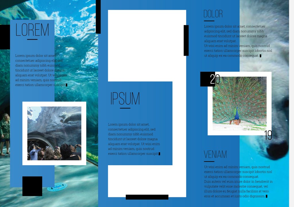4theGraphics's tweet photo. A couple Brochure Designs Made for fun

#adobeillustrator #4thegraphics #GraphicDesigner https://t.co/EQGfhh80ul