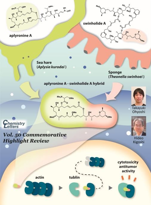 CSJjournals_jp's tweet photo. [Highlight Review]
Protein-protein interaction | Hybridization | Aplyronine A
Review by Prof. Hideo Kigoshi and Dr. Takayuki Ohyoshi @UNIV_TSUKUBA_EN (Univ. of Tsukuba) is available as Open Access
#ProteinProteinInteraction #StructureActivityRelationship

https://t.co/7TANO1DmPn https://t.co/HjIPjwVY1v