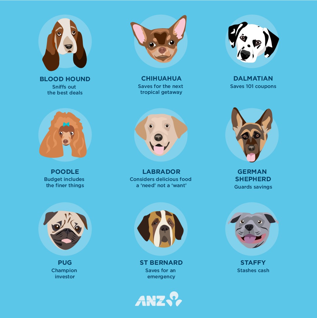 Picture of nine dog breeds
Blood Hound sniffs out the best deals
Chihuahua saves for the next tropical getaway
Dalmatian saves 101 coupons
Poodle budget includes the finer things
Labrador considers delicious food a need not a want
German Shepherd guards savings
Pug is a champion investor
Saint Bernard saves for an emergency
Staffy stashes cash
ANZ logo