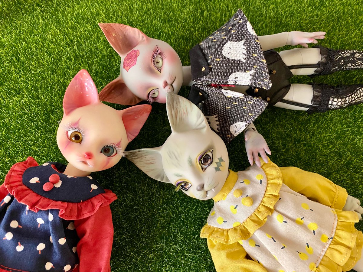 posneko's tweet photo. #PIPOS https://t.co/eZbZVGDcDD