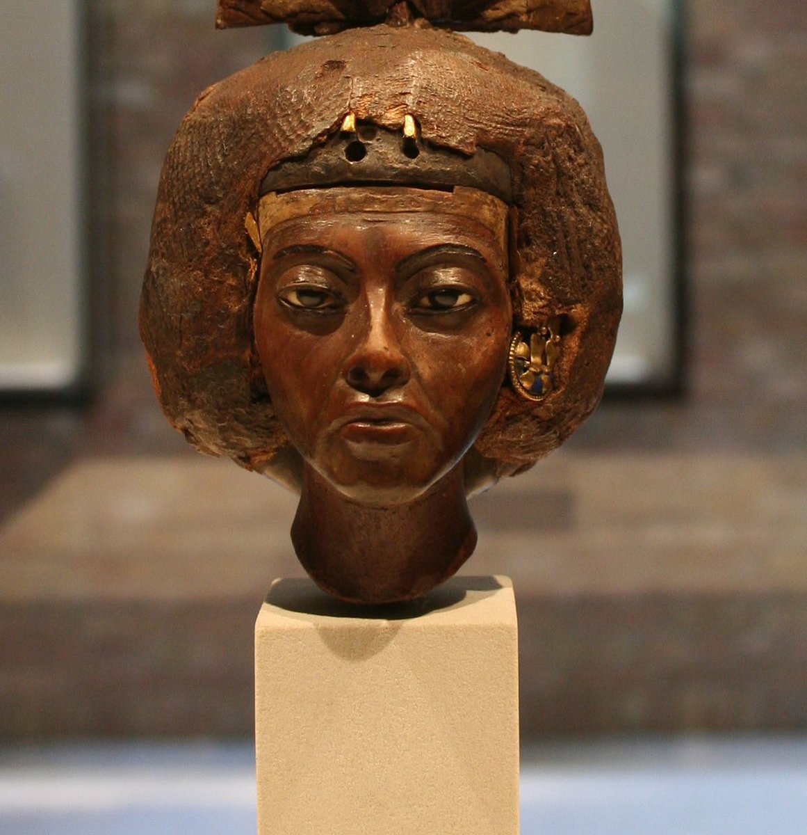 царица тия жена аменхотепа 3. тейе. тейе. тейе царица египта мумия. эхнатон голова.