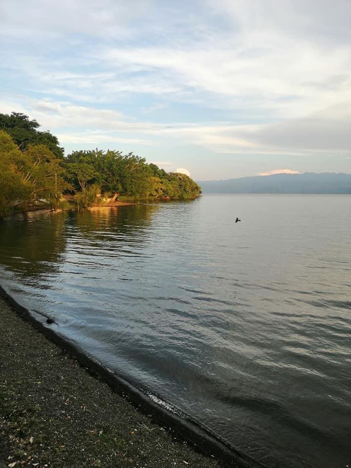 CatemacoVeracru's tweet photo. Un atardecer ❤️ #catemaco fotoRaul Ramírez https://t.co/T1N7xiQAZV