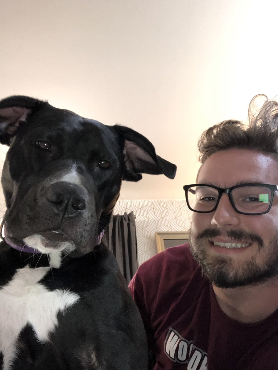 _Schertz_'s tweet photo. I haven’t tweeted? Twote? Twat? Twittered? Whatever… I haven’t twootled in a while so here’s a few pictures of my dog. https://t.co/EUzb9RH20c