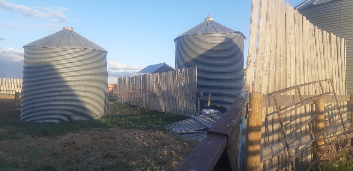 July 11 wind blew the bin over, today it landed it back on its feet. I think even mother nature was tired of waiting for me to get to it.