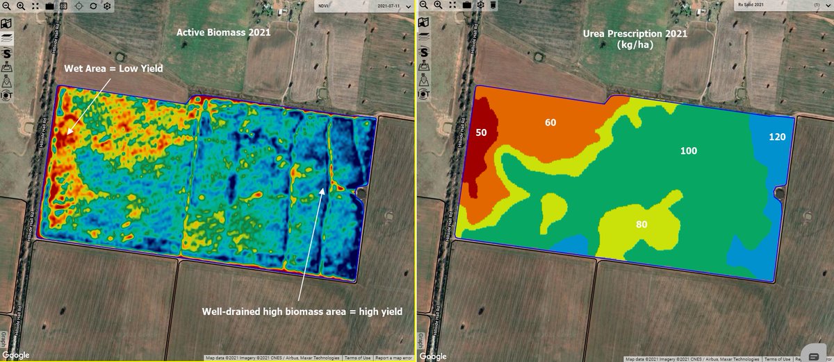 VR Urea going out north of Dubbo based on revised yield potential. Red areas = too wet. Blue = well drained high production. Rates calibrated with deep N results by soil type.