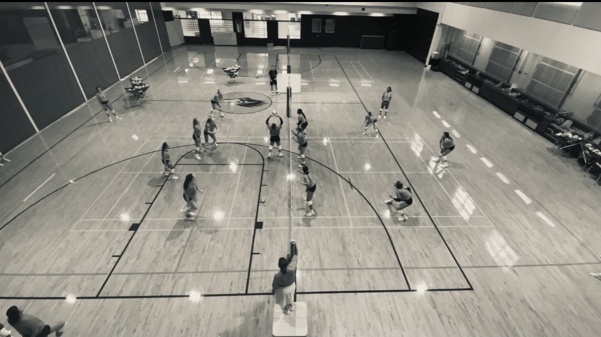 UTSAvolleyball's tweet photo. Back together to be better than ever 🤙

#BirdsUp | #StrengthAndFamily https://t.co/m8Im1QM1rJ
