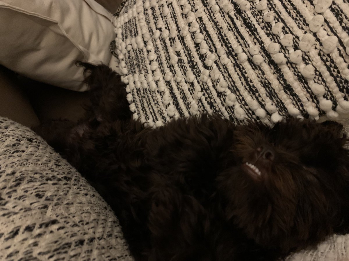 Dr. Monica Schroeder, pHCLE, NIU & DePaul alumna tweet media