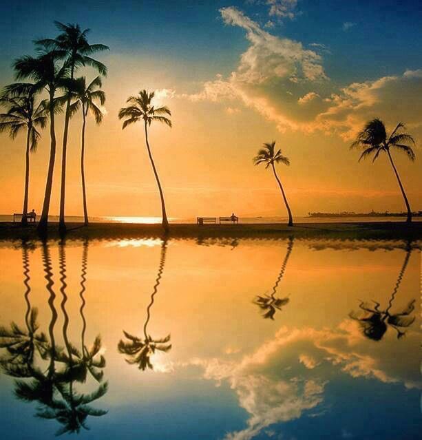 s. u. n. s. e. t. (@sunset731) on Twitter photo 