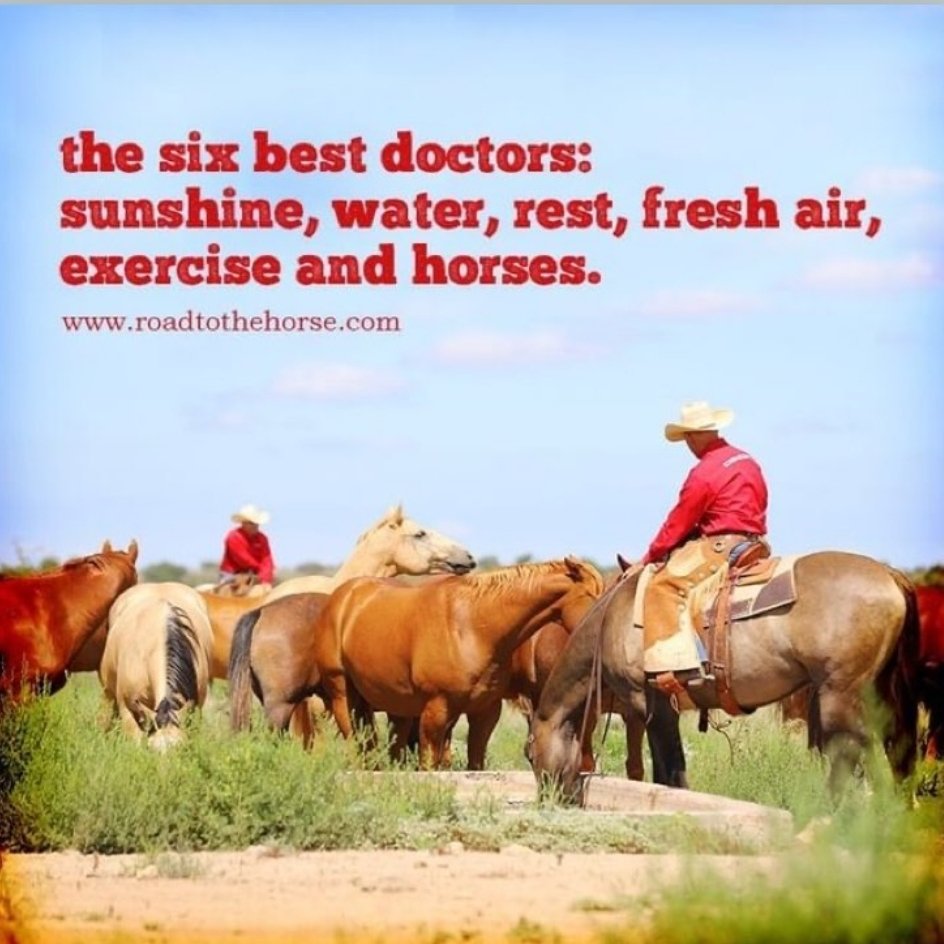 Funky Buddha (@bopperbuddha) on Twitter photo 