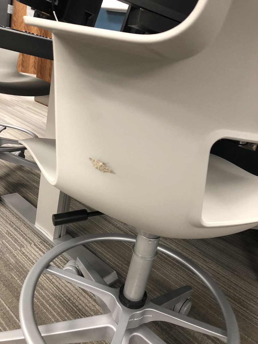 21stCompSciAcademy tweet media