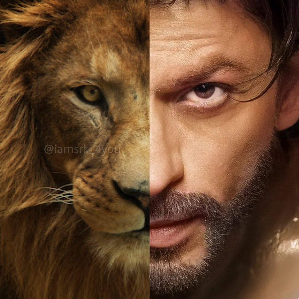 🦁 The Lion is Back in Pathan 🔥🔥
➖
#ShahRukhKhan #Pathan #lion  #SRK #srkians #iamsrk_4you #aryan4_you #Baadshah #KingKhan #mumbai #JabraFan #Bollywoodmovies #srkfc #srkfilms #srkthuglife #pathaan #srkmannat #iamsrk #shahrukhkhanlovers #shahrukhkhanfans #shahrukhkhanfanclub