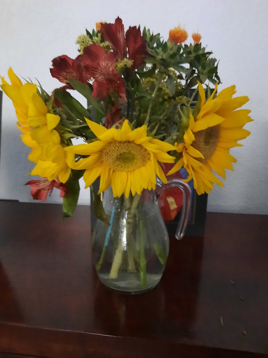 Newfiemom94's tweet photo. Thanks @haily009 for making my day brighter!! https://t.co/csfuKCvBJi