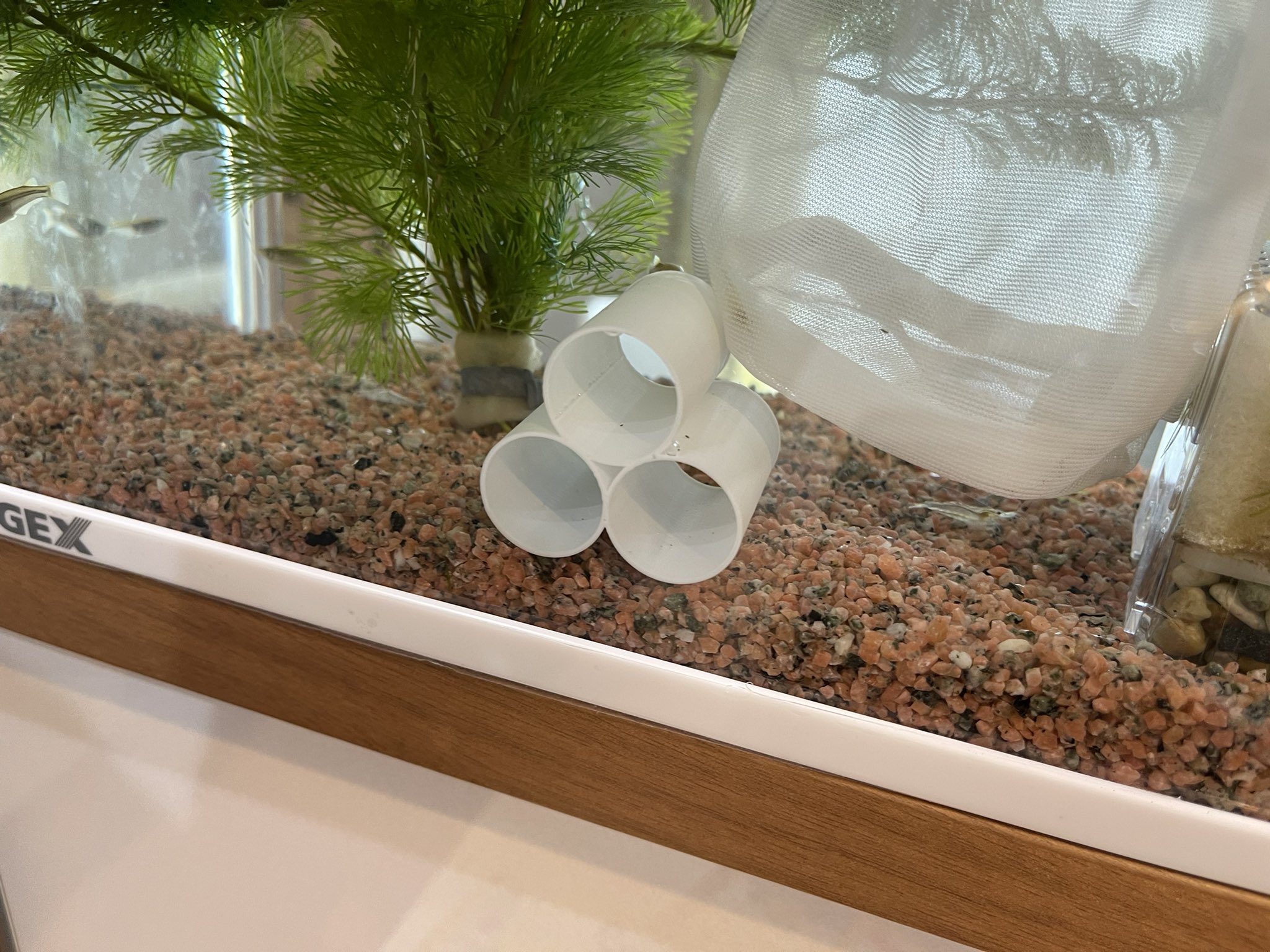 のってぃ 3dlab メダカとヌマエビの水槽に3dプリンター製の土管を入れてみた まだ誰も入ってくれない T Co Vpjdruh03k Twitter