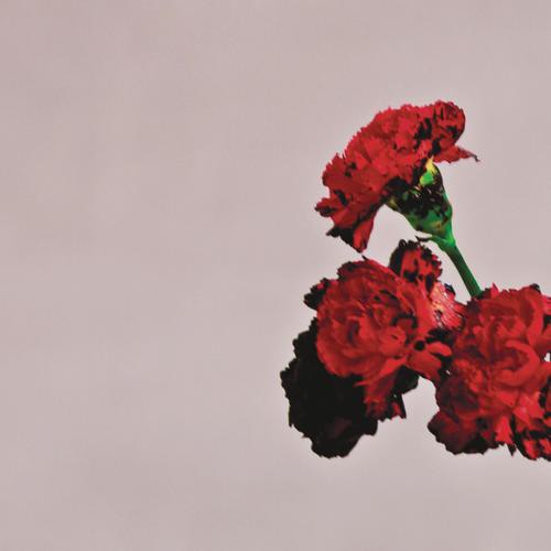 glidesmar's tweet photo. Listening to All of Me by @@johnlegend on @PandoraMusic
https://t.co/DthL8bL4jZ https://t.co/4aous0BwQx
