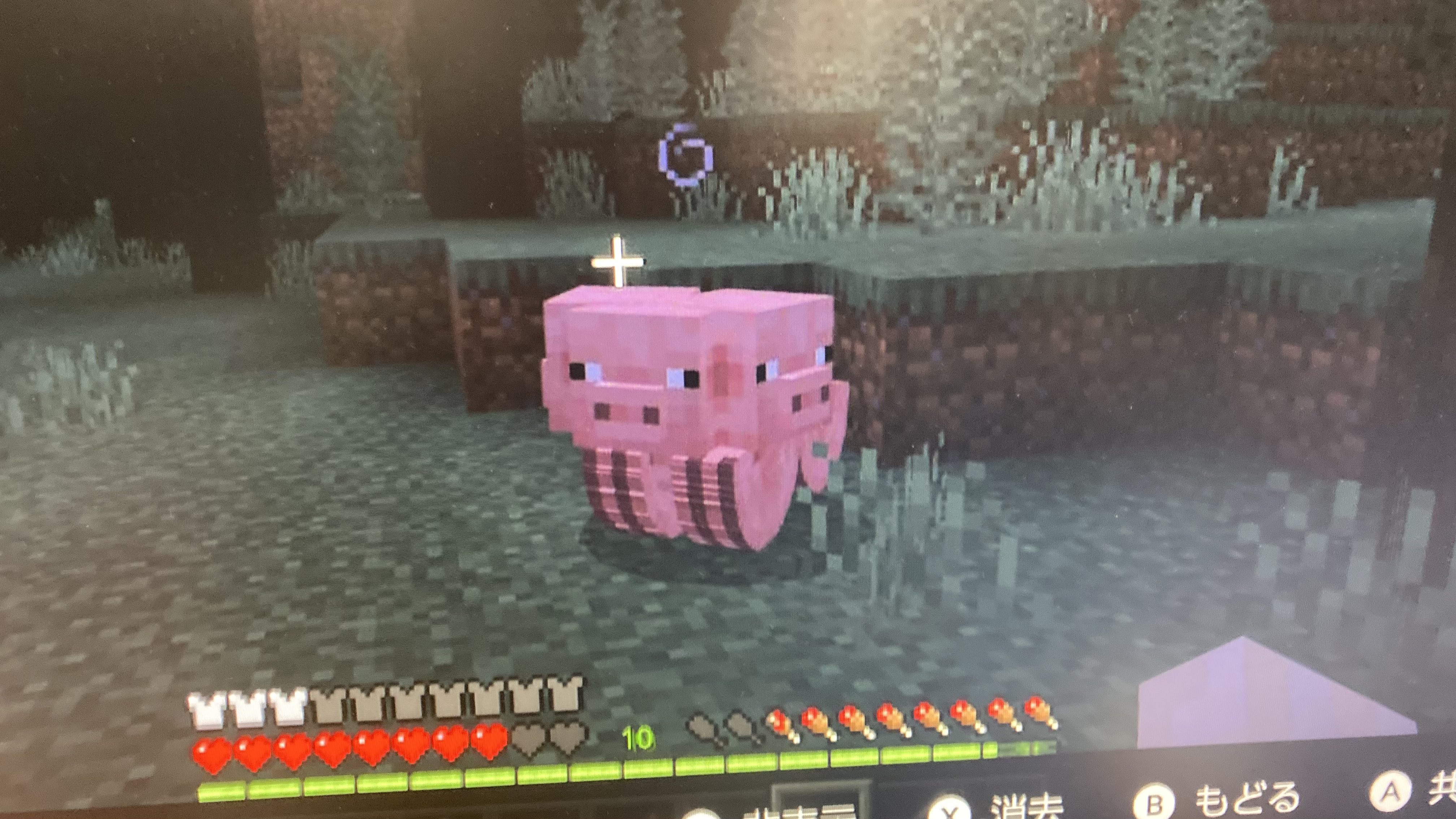 マイクラ豚 Twitter Search Twitter