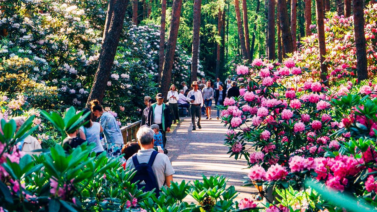 DiscoverFinland's tweet photo. You're never more than 15 minutes from nature in Helsinki, easily explored by walking, tram, bus, train, metro, and bicycle - a guide by @myhelsinki: https://t.co/NNhe8E21WS https://t.co/BRAiuIjBmn