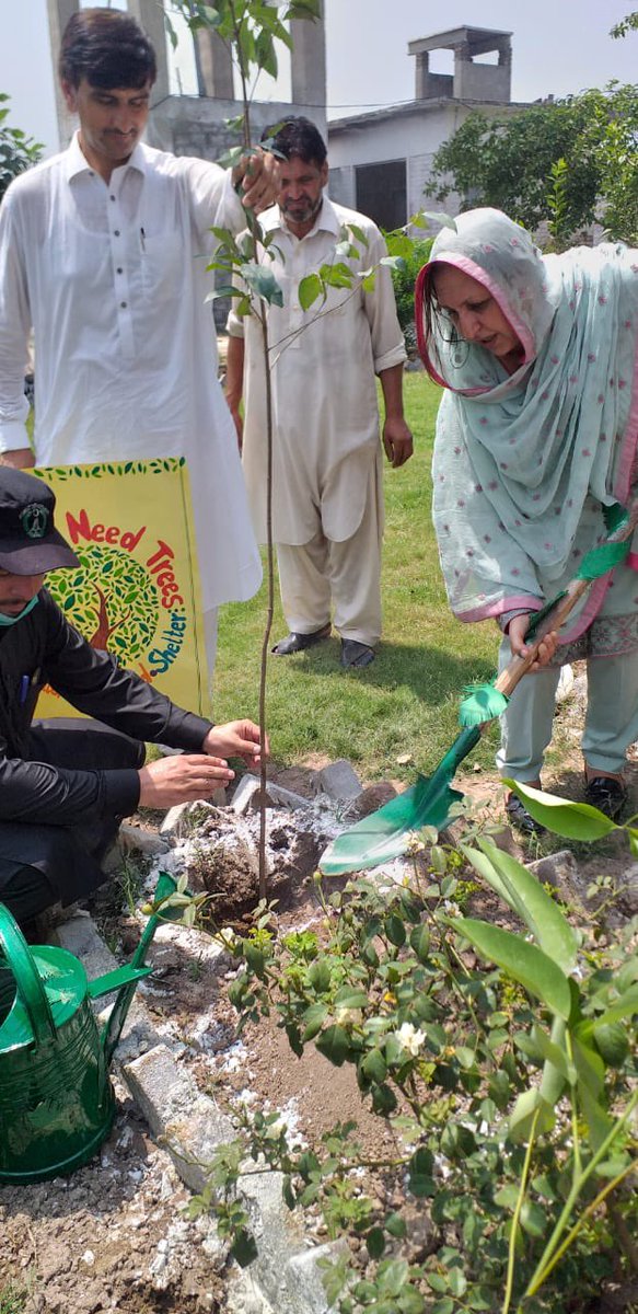 Monsoon Tree Plantation at Government Degree College For Girls, #Peshawar. At this event, a total of 200 plants were planted. #monsoonplantation #Plant4Pakistan21